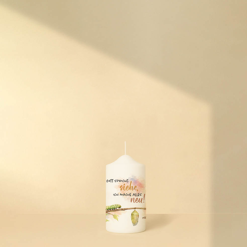 Jahreslosung 2026 – Bild 5